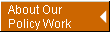 About Our Policy Work