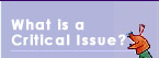 What is a Critical Issue?