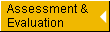 Assessment and Evaluation